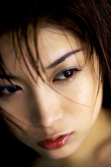 熊猫直播网页版